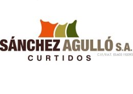 Sanchez Agullo Logotipo
